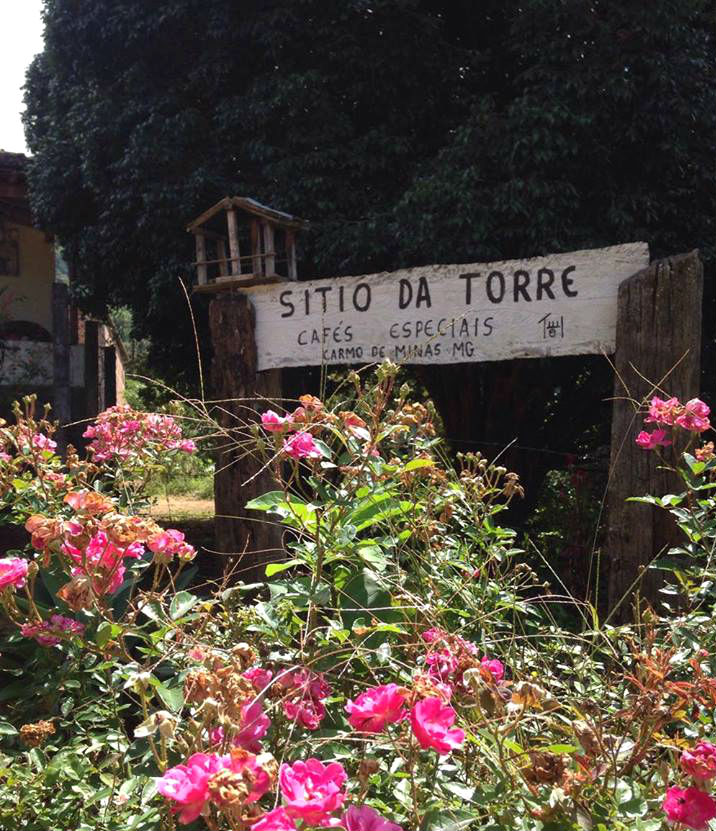 Brazil Peaberry Sitio da Torre