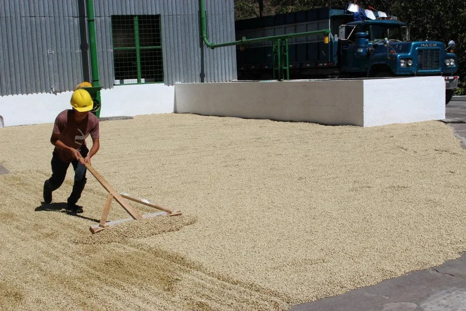 Costa Rica La Minita del Sol