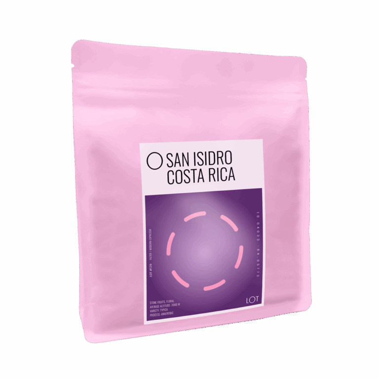 SAN ISIDRO COSTA RICA