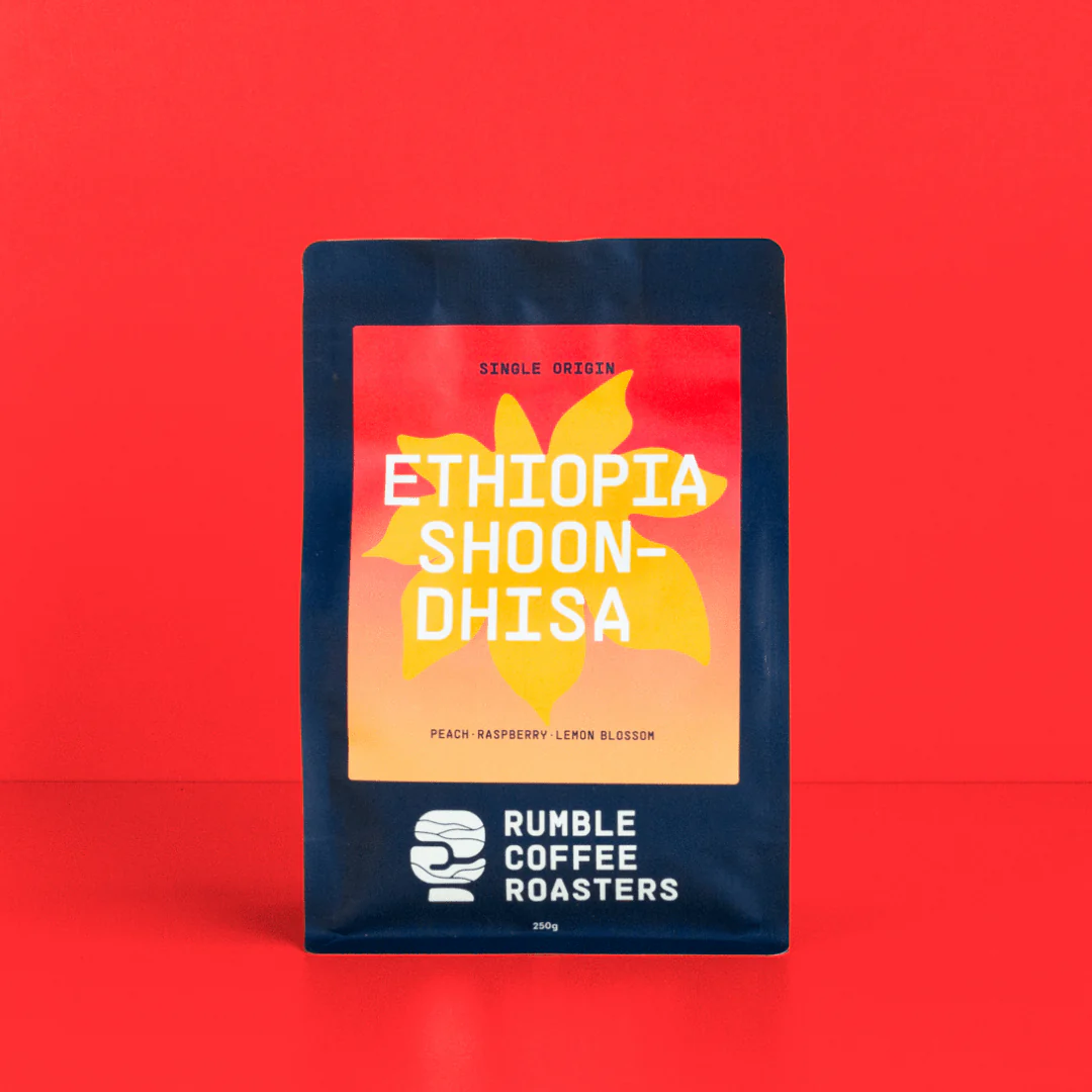 Ethiopia Shakiso Shoondhisa Filter