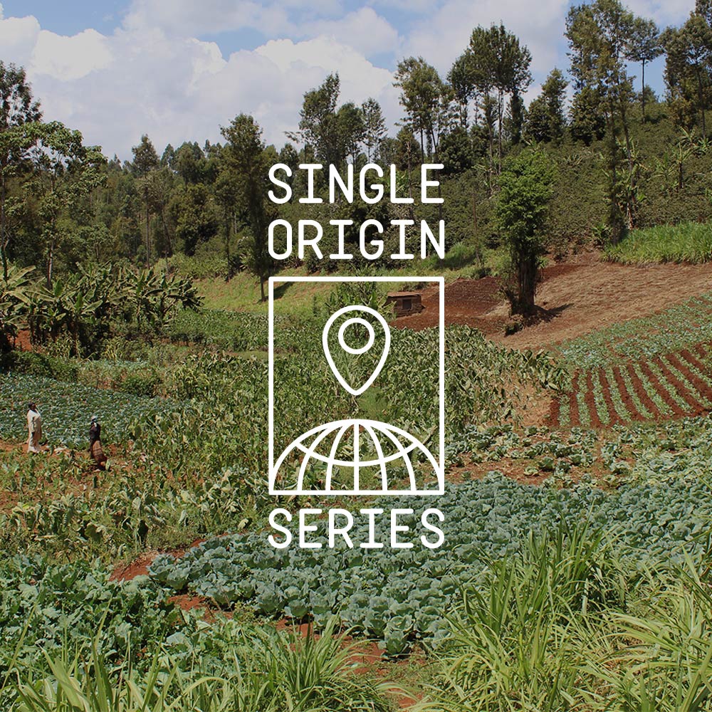 Single Origin Series