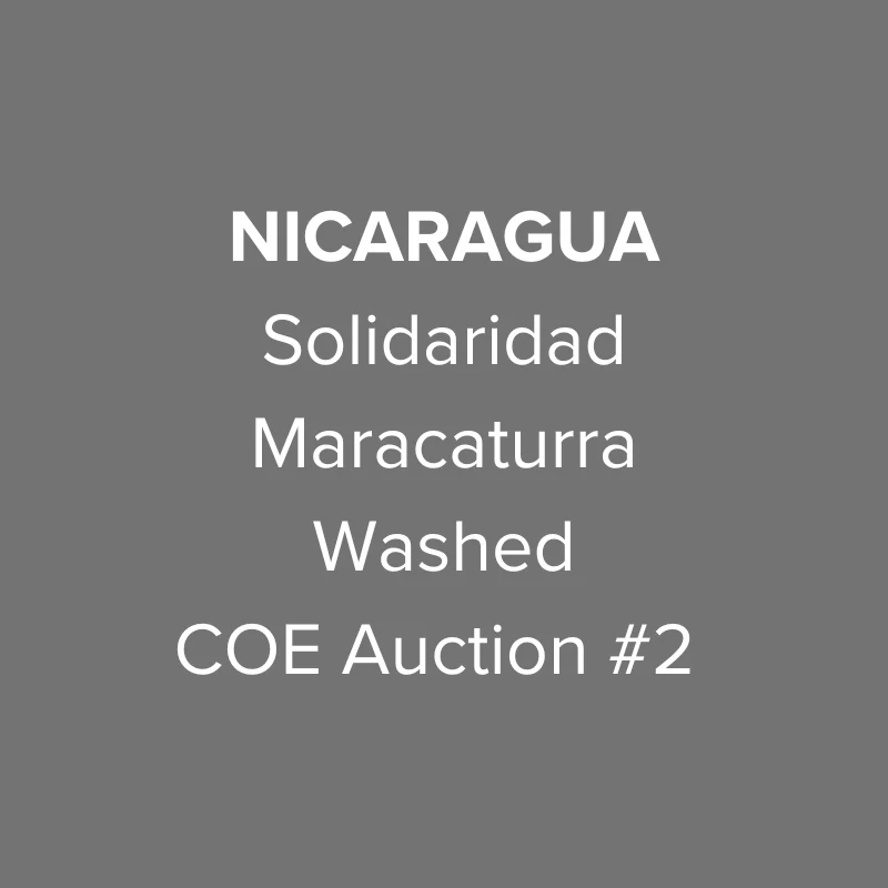 Nicaragua Solidaridad Maracaturra Washed COE Auction #2