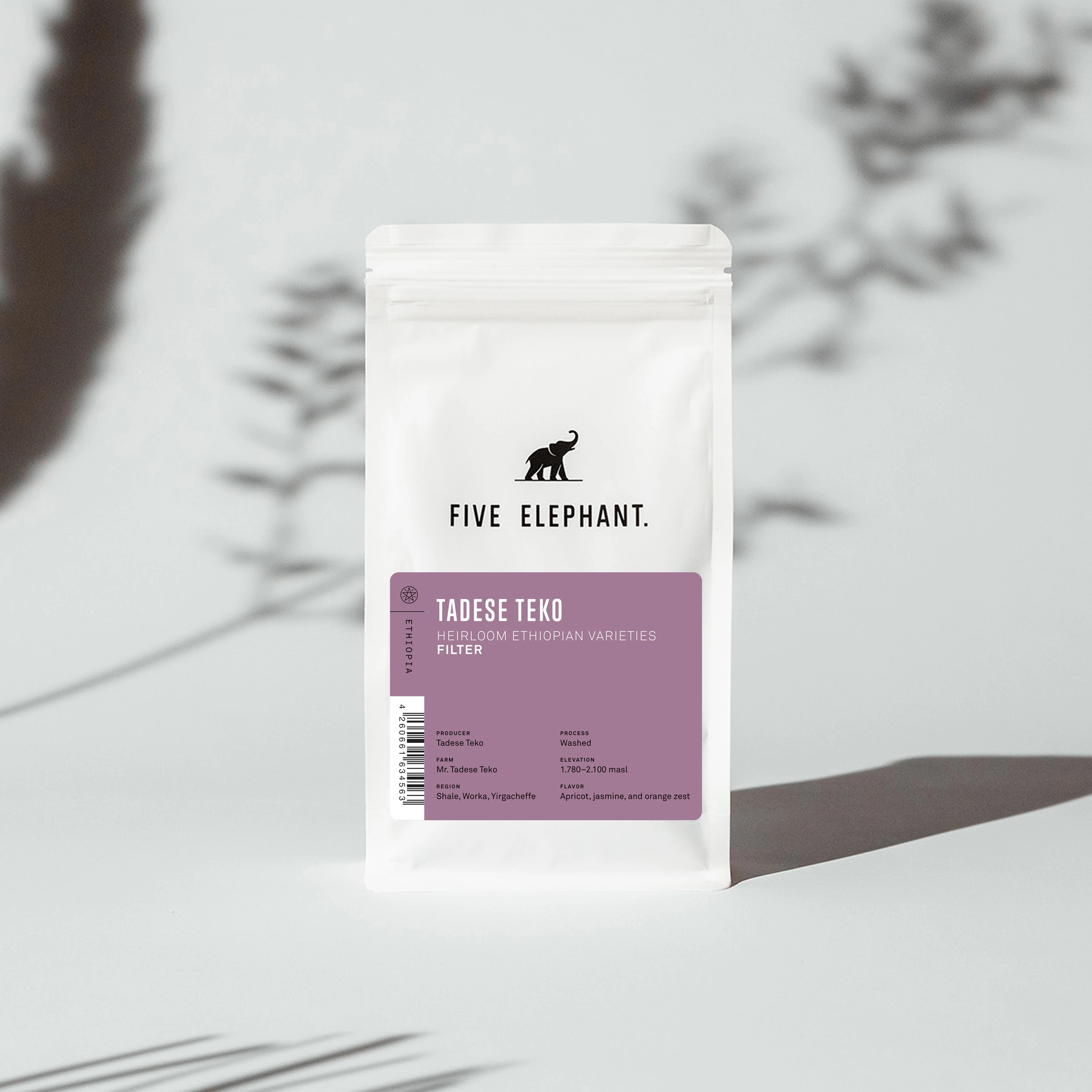 ETHIOPIA Tadese Teko – Filter