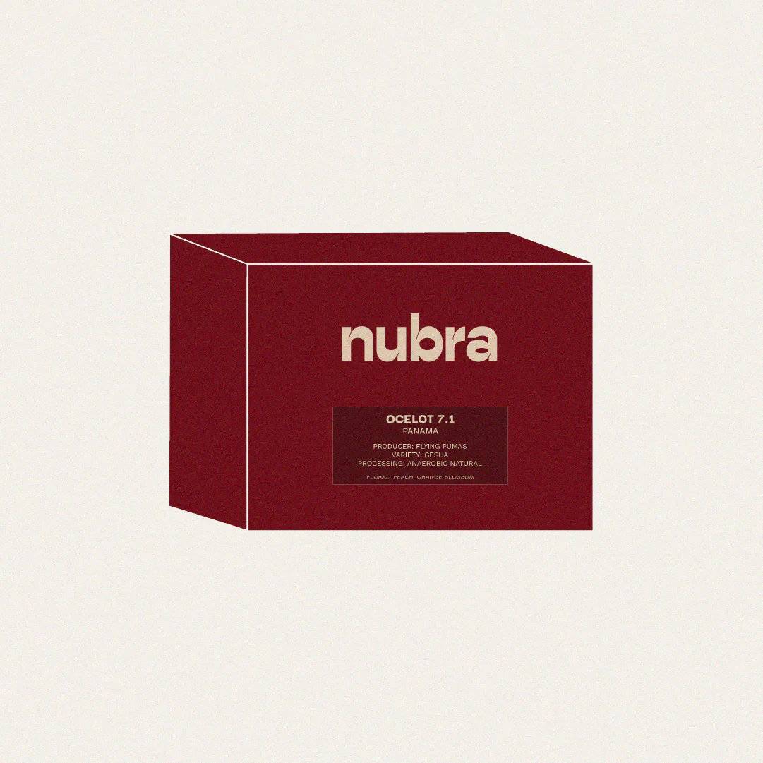 Panama - Flying Pumas Ocelot