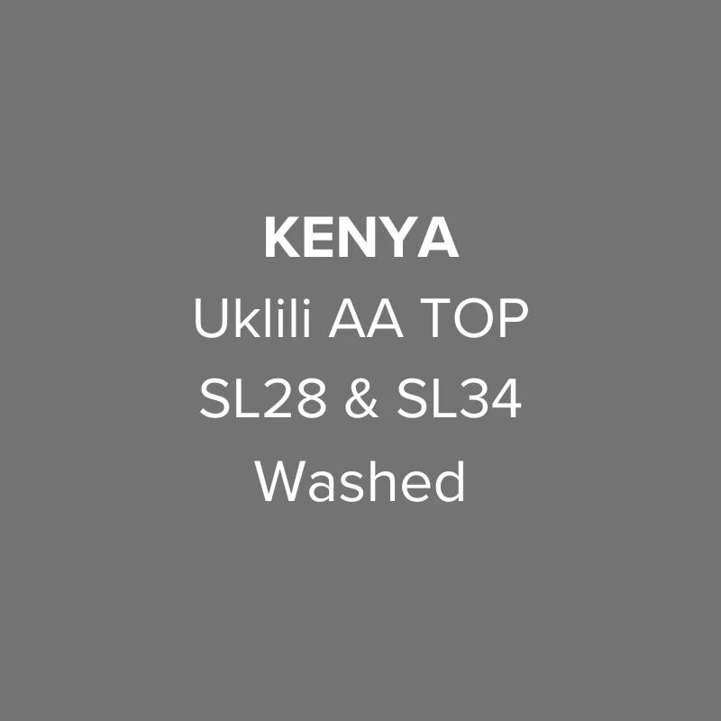Kenya Nyeri Uklili AA TOP SL28 & SL34 Washed