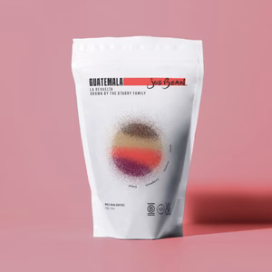 GUATEMALA LA REVUELTA