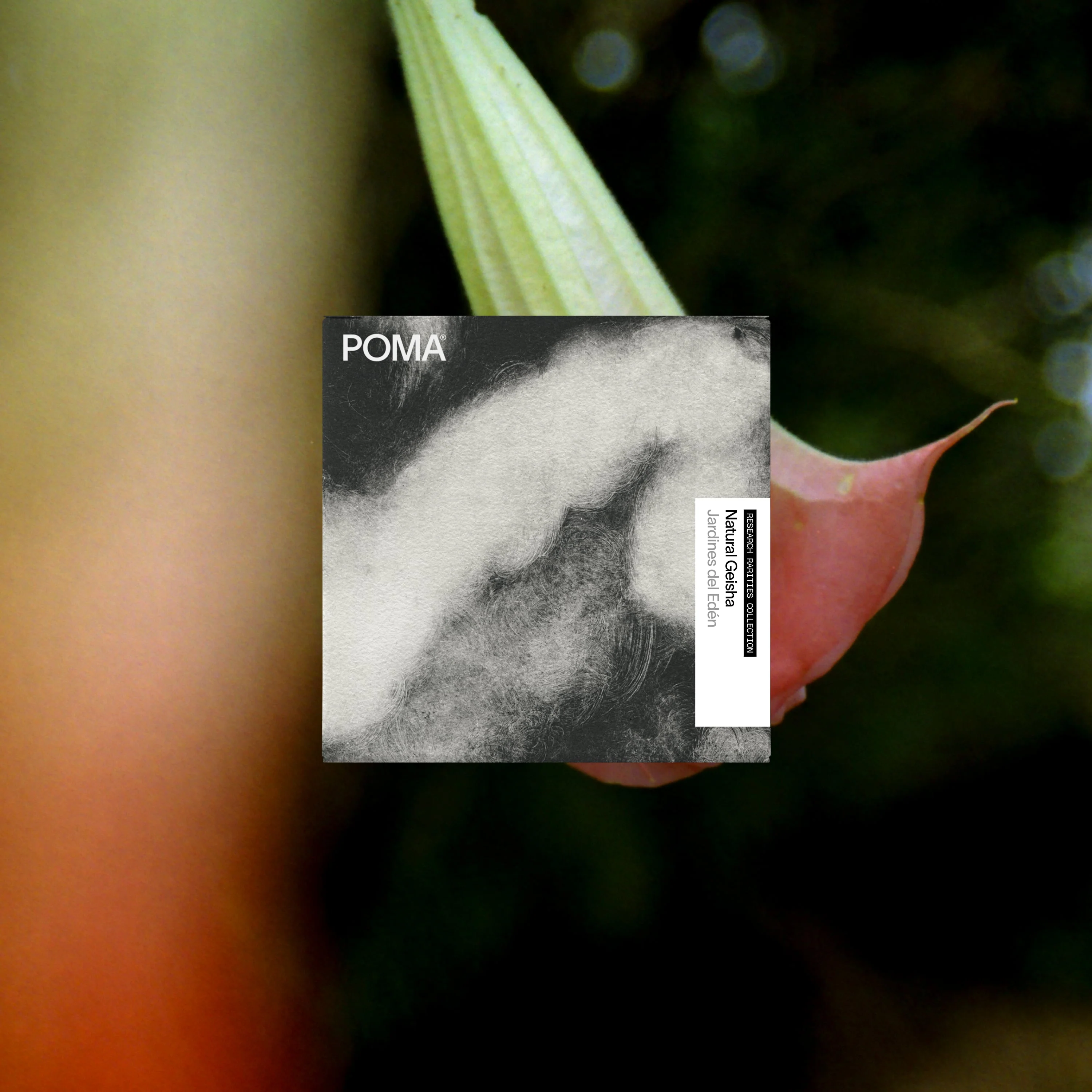 Jardines del Edén Natural Geisha