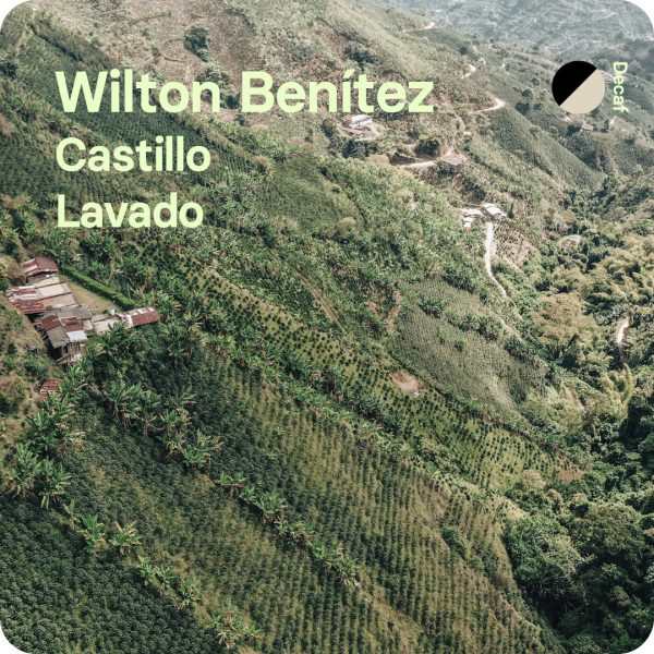 Wilton Benítez Decaf, Colombia