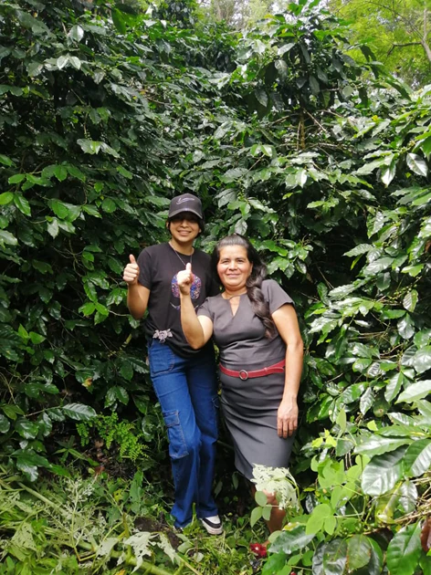 Honduras Patricia Farm Washed Process