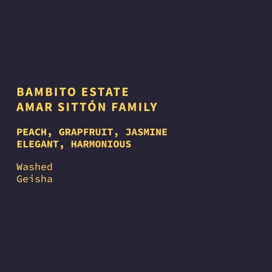 Panama Bambito Estate