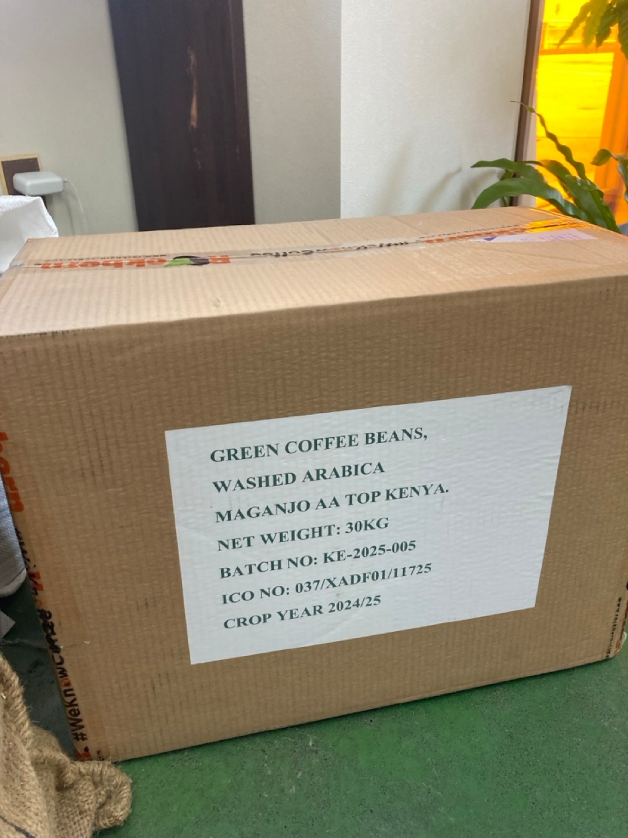 Kenya Rockburn Maganjo AA 100g