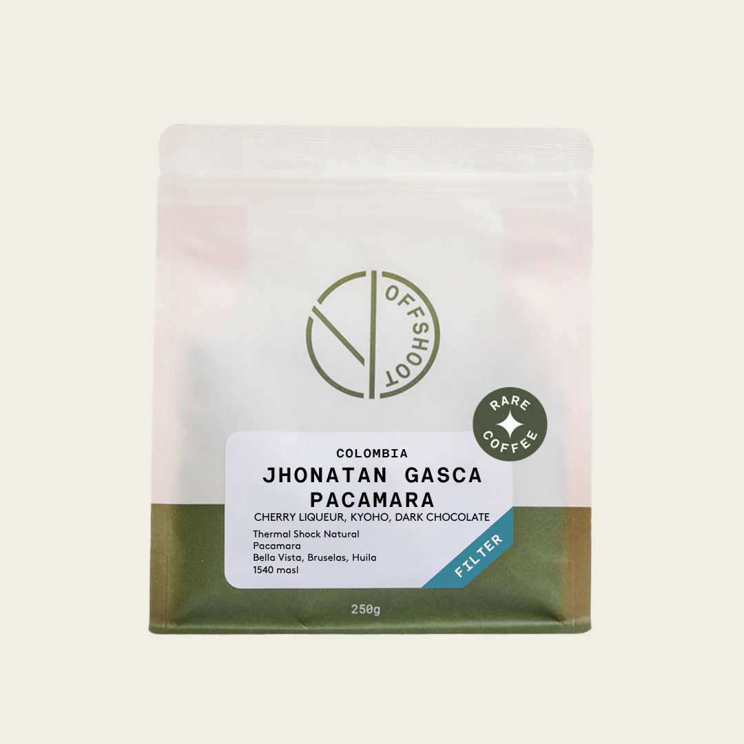 Jhonatan Gasca - Pacamara *Rare*