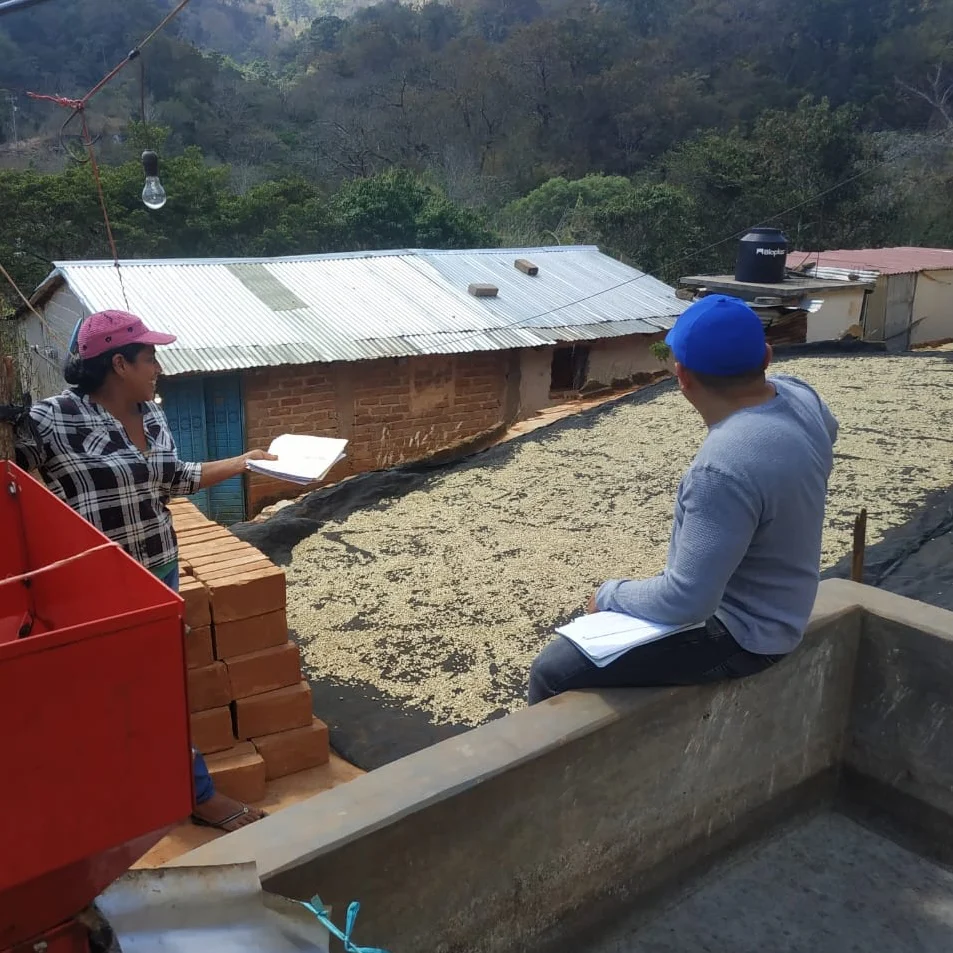 Sweet Decaffeinated Mexico Espresso