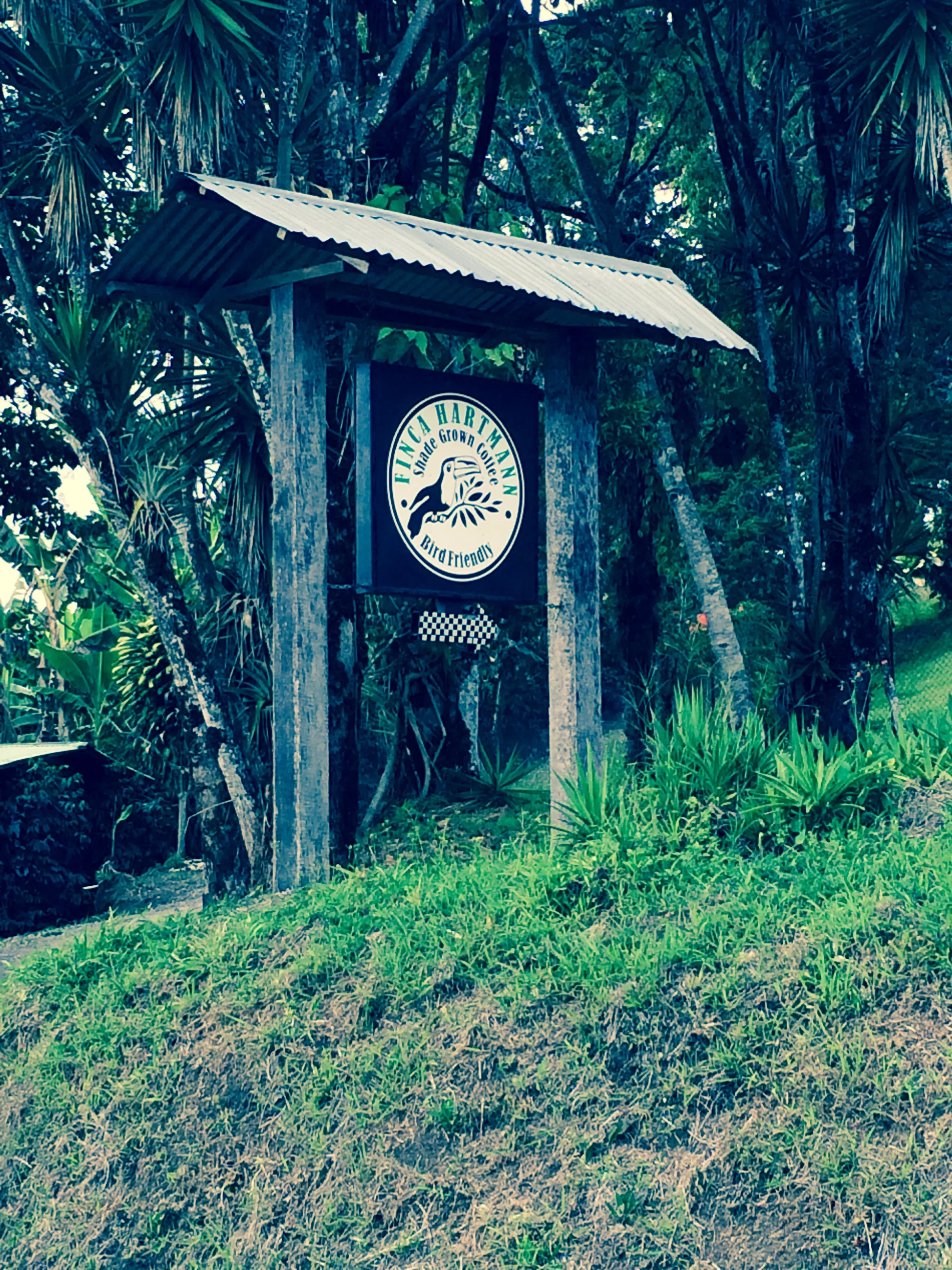 Espresso - Panama - Hartmann