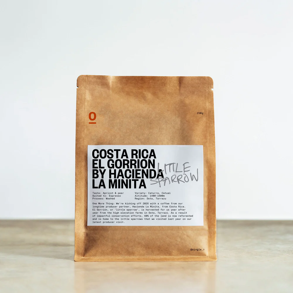 COSTA RICA EL GORRION