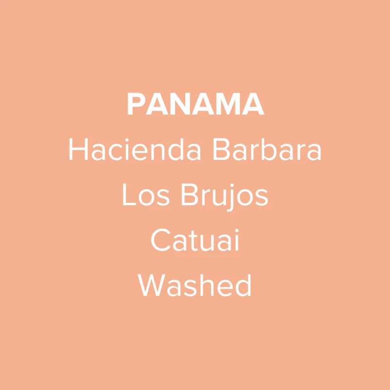 Panama Hacienda Barbara Los Brujos Catuai Washed