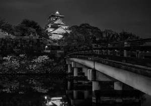 Oshiro Dark Blend Drip Bag