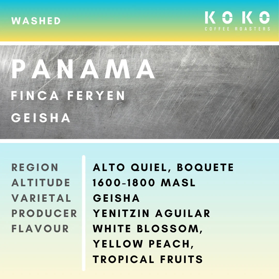Panama Finca Feryen Geisha Washed