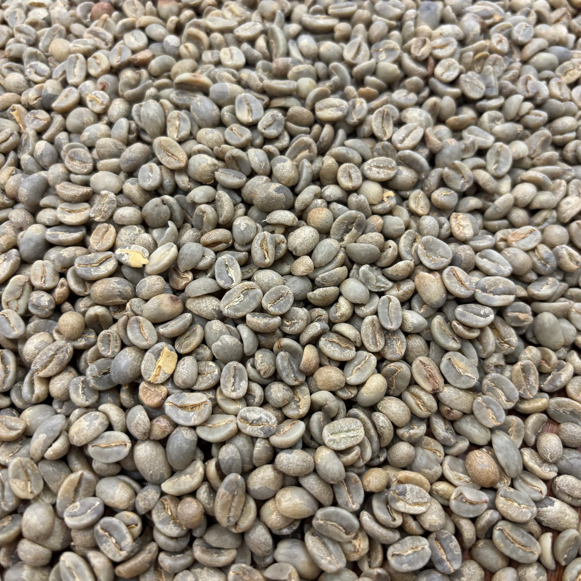 Maribel Hererra - Peru, washed