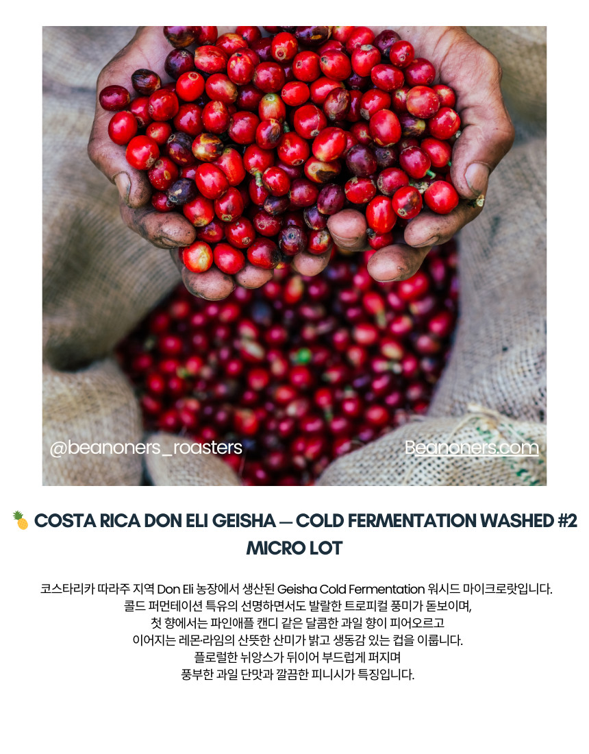 More Than Coffee Delicious Specialty Beans