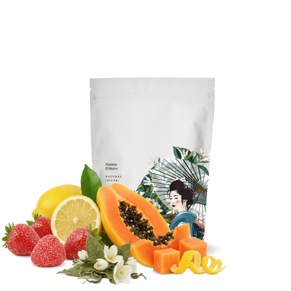 Panama EL BURRO - Geisha