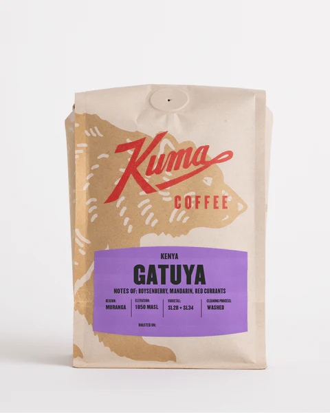 Kenya Gatuya