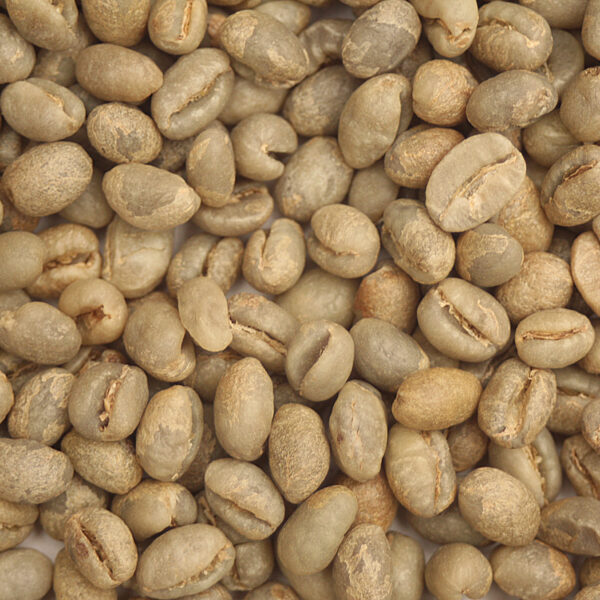 Tanzania: Peaberry, Kilimanjaro (Green)