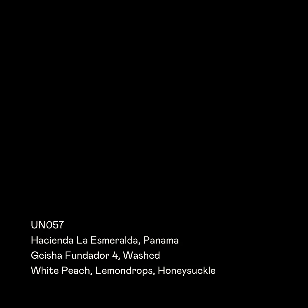 UN057 - Hacienda La Esmeralda Fundador 4 WB, Geisha Washed