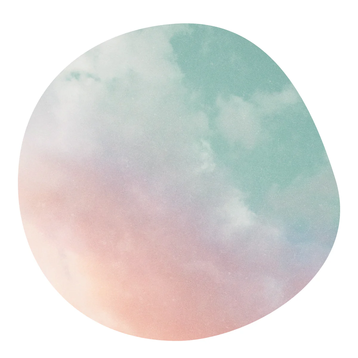 【NEW】JOHEL MONGE -Geisha- / Costa Rica