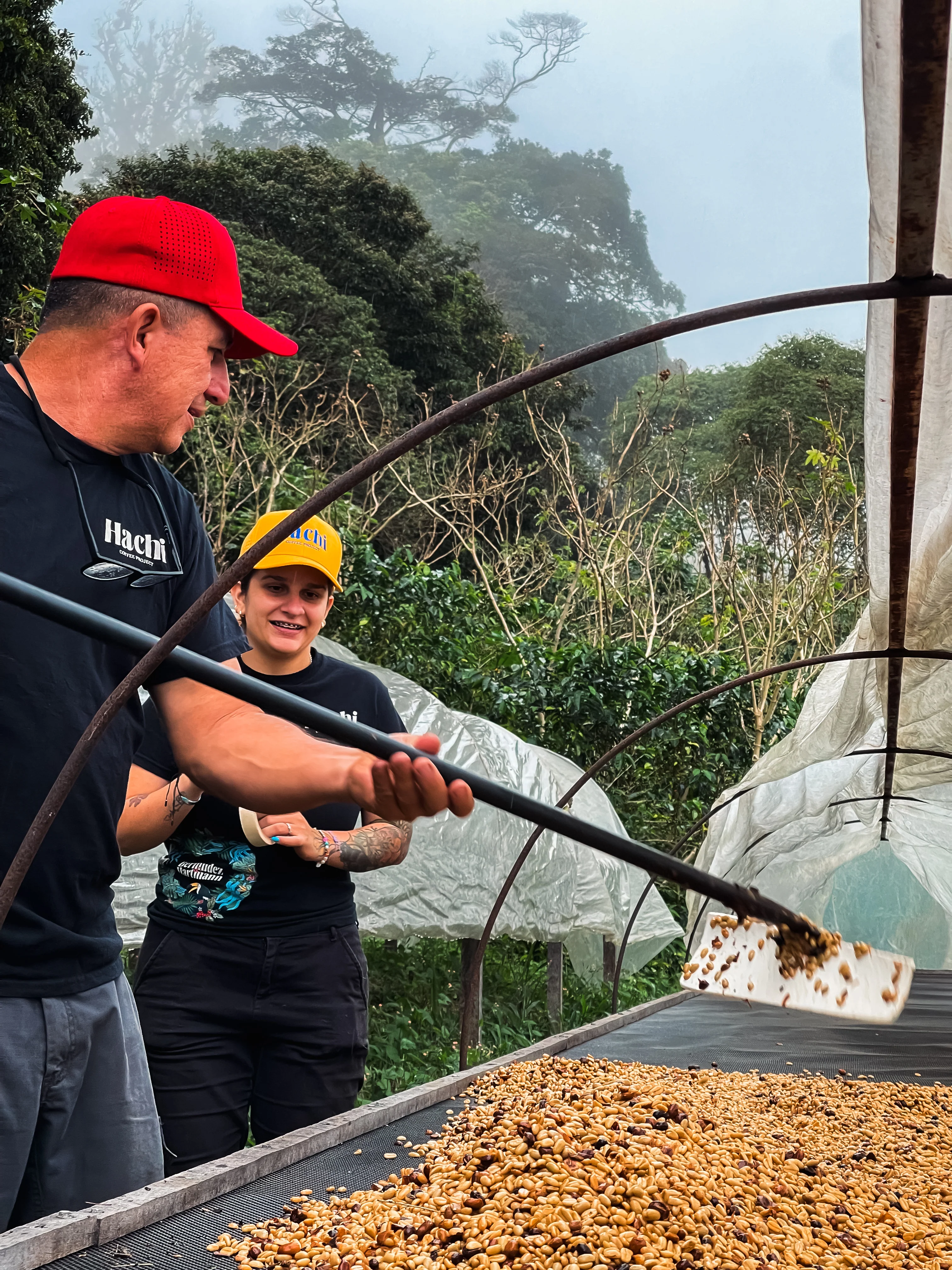 HATSUKO Rocky Mountain Geisha