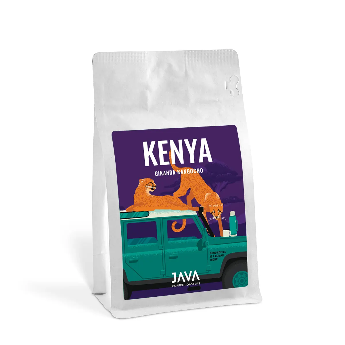 Specialty Coffee Kenya Gikanda Kangocho