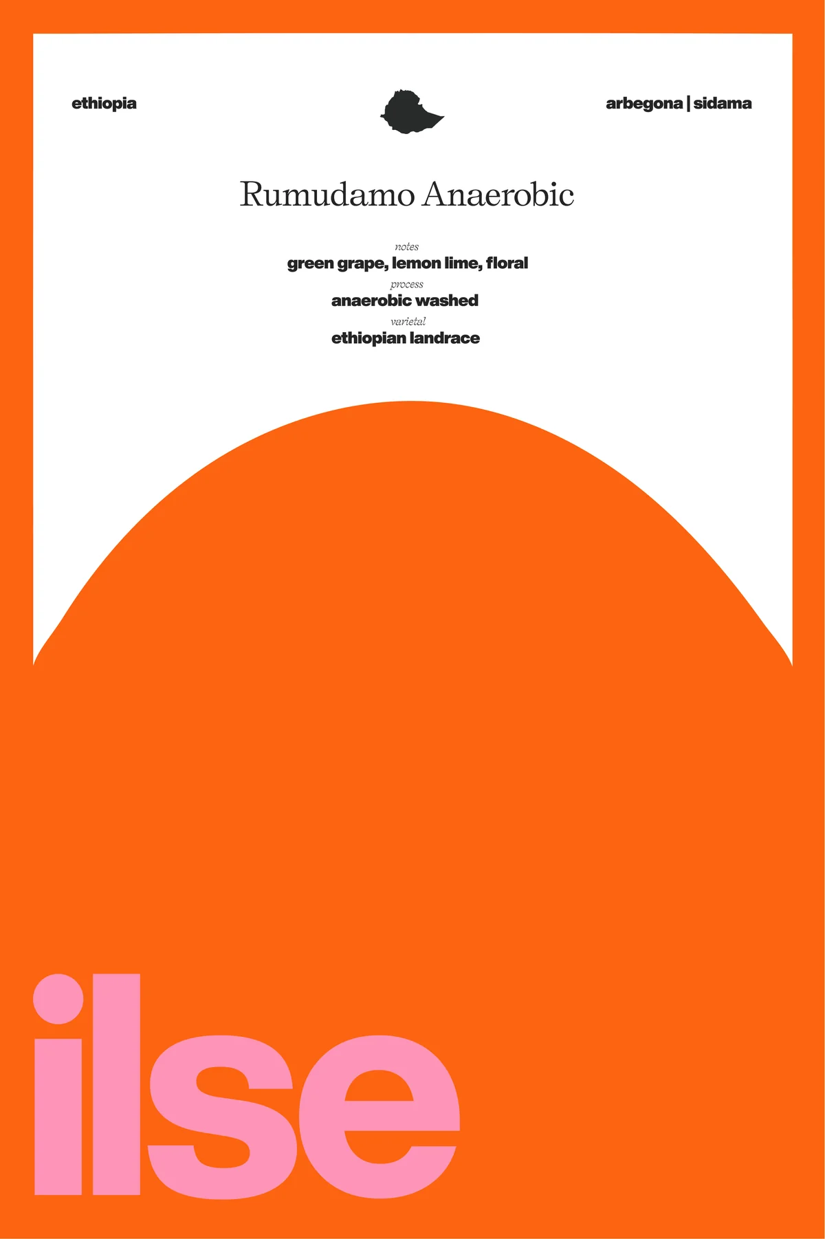 Ethiopia | Rumudamo Anaerobic