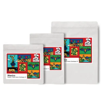 Mexico | Oaxaca | Santa Maria Ozolotepec L3