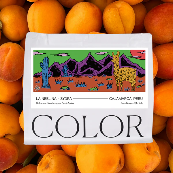 Artist Reserve Peru La Neblina - Washed Sydra