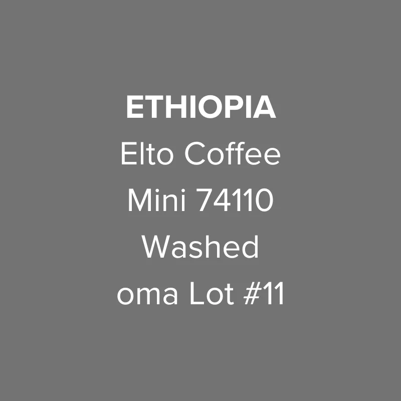 Ethiopia Elto Coffee Sidama Bona Mini 74110 Washed