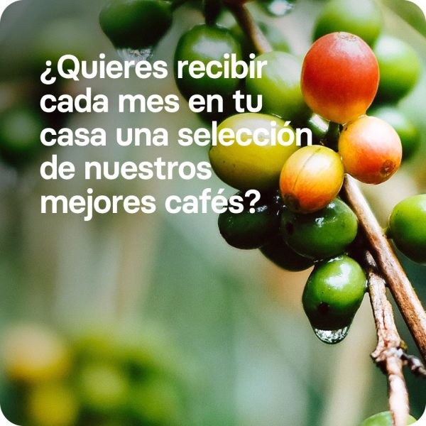 Monthly Subscription Coffee