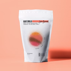 GUATEMALA MONTE DE ORO MARACATURRA