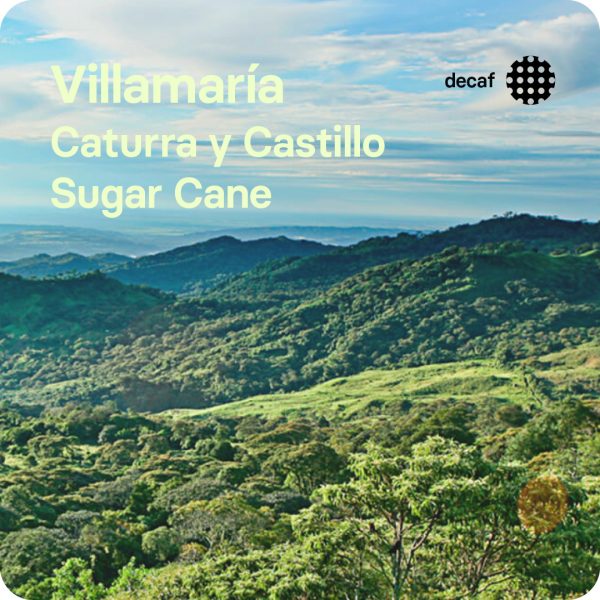 Villamaría Decaf, Colombia