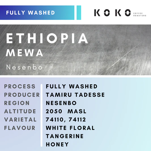 Ethiopia Mewa (Fully Washed) 150g