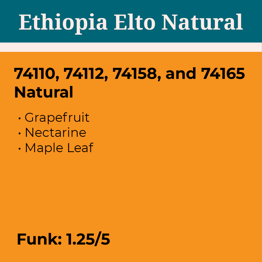 Ethiopia Elto Natural