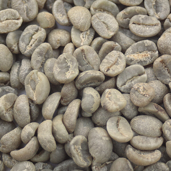 Kenya: Select Plus AA, Kiambu County (Green)