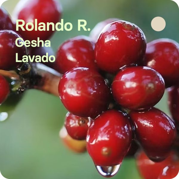 Rolando Rondón, Colombia