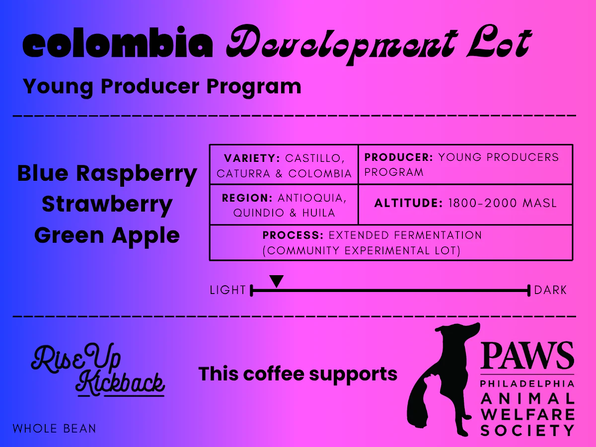 Young Producer Program – Development Lot