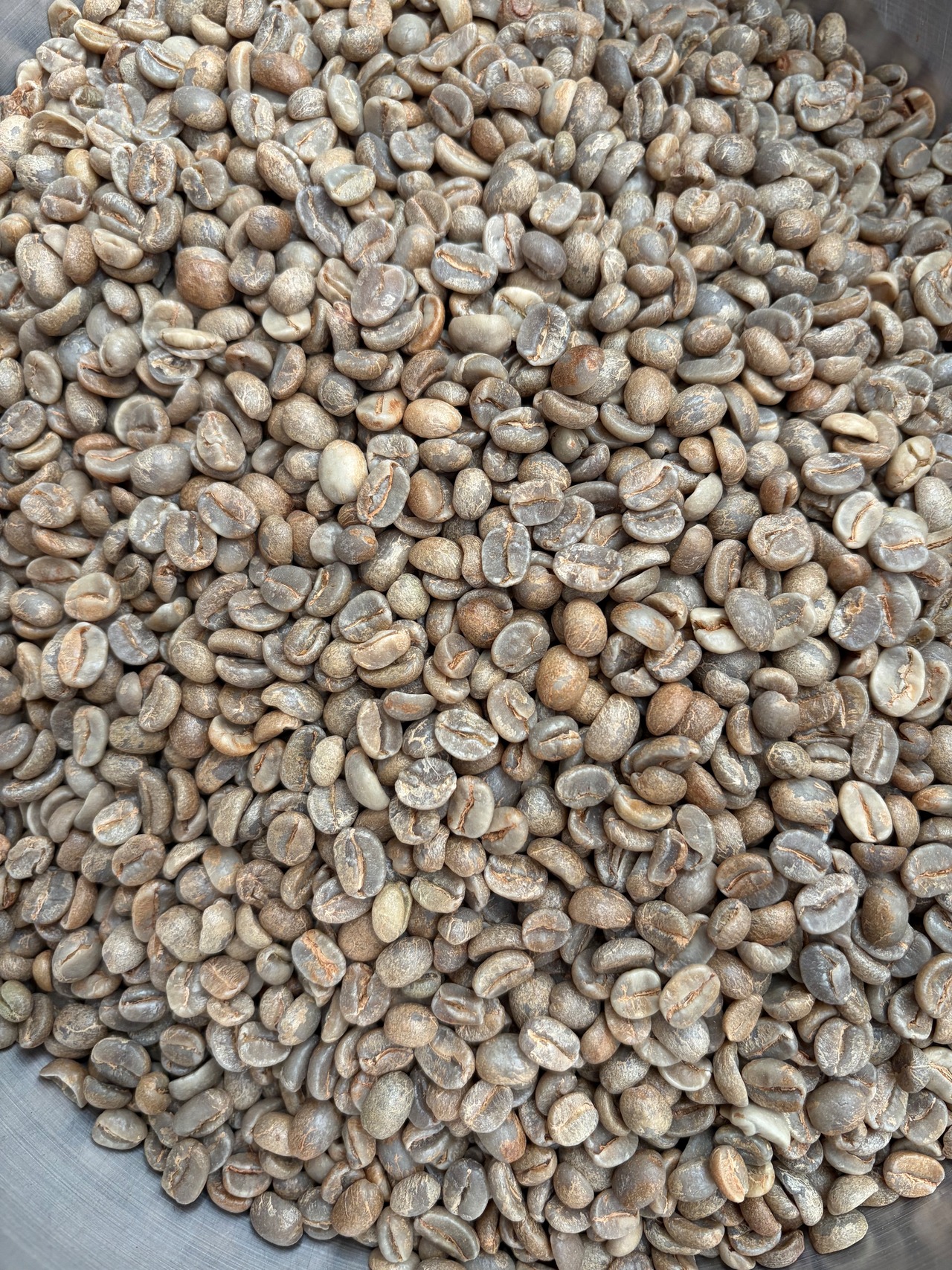 Myanmar Tessa Black Honey