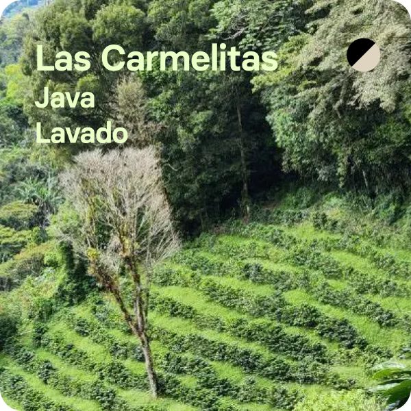 Las Carmelitas