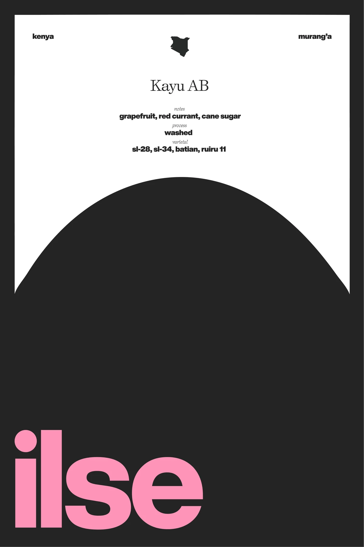 Kenya | Kayu AB Washed SL-28, Ruiru 11 & Batian