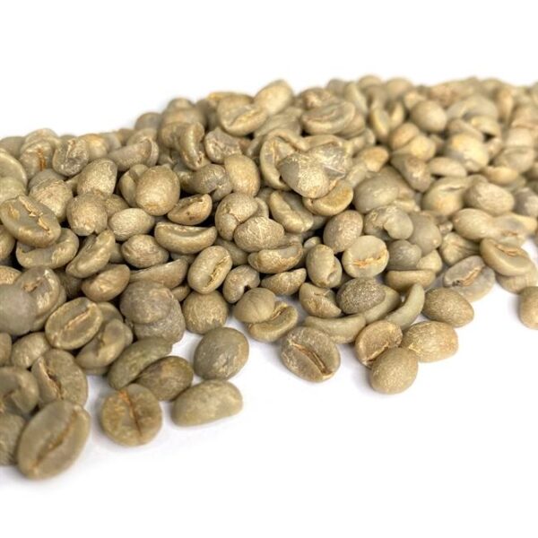 Brazil: Organic Fazenda Dutra 14/16, Matas de Minas (Green)