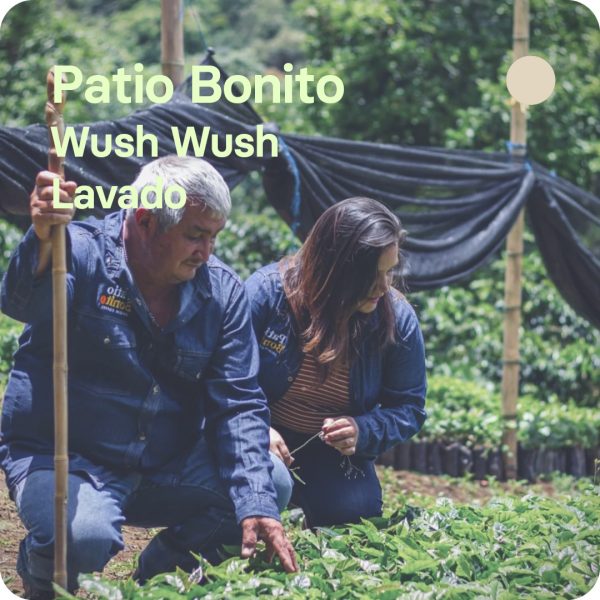 Patio Bonito, Colombia