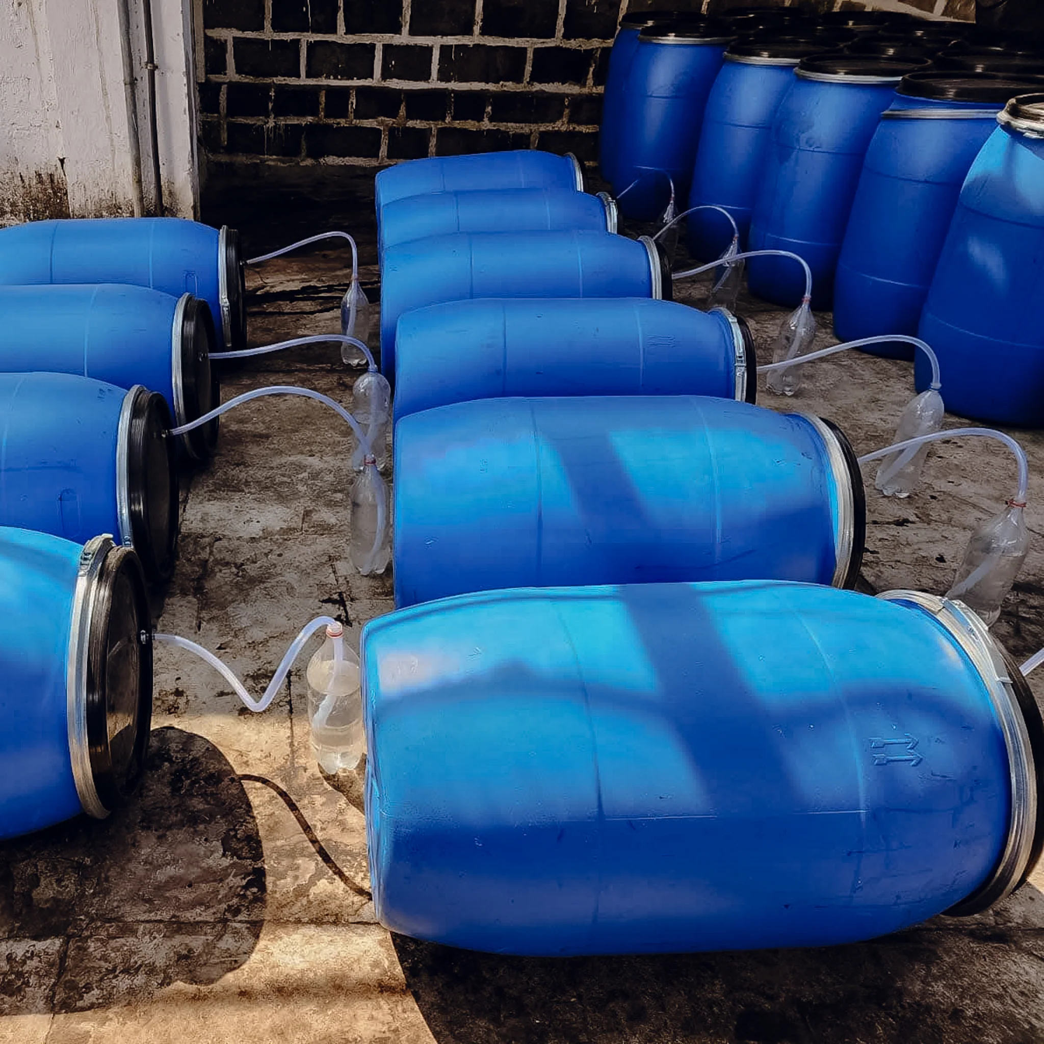 Guatemala's Raul Rodas Coffee