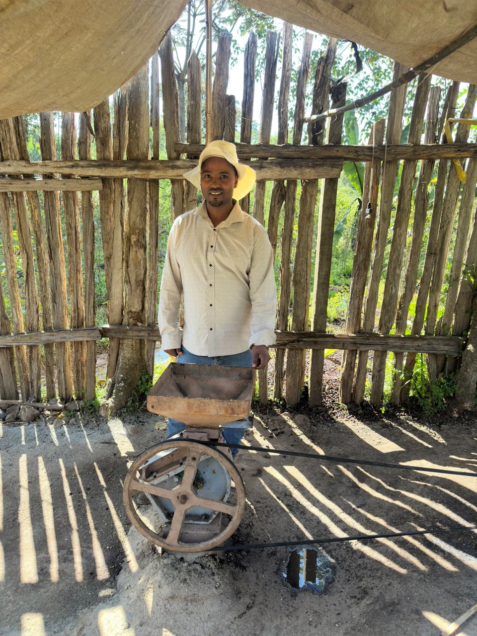 Basha Bekele, White Honey